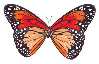 Мини-открытка "Бабочка 2"