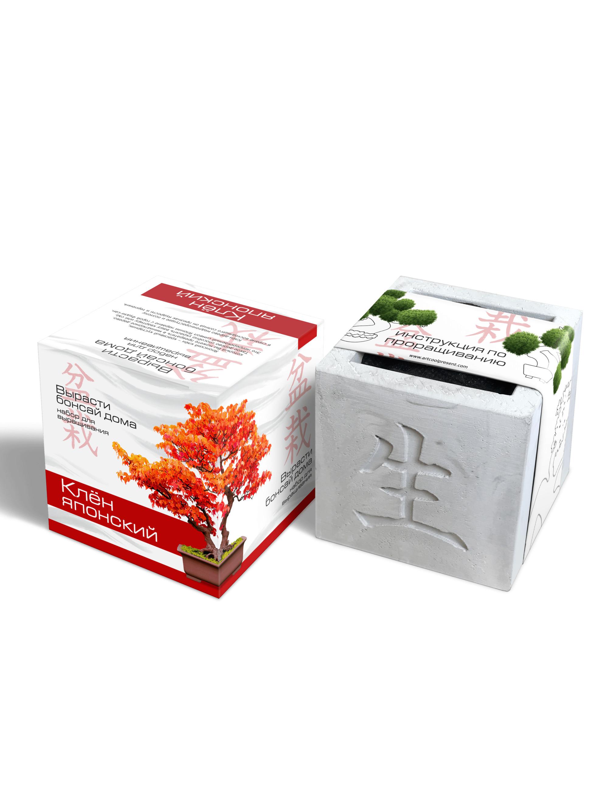 подарочный набор банзай. вырасти бонсай набор. подарочный набор для выращивания "вырасти бонсай дома. подарочный набор для выращивания "вырасти бонсай дома. бонсай экоклуб вырос.