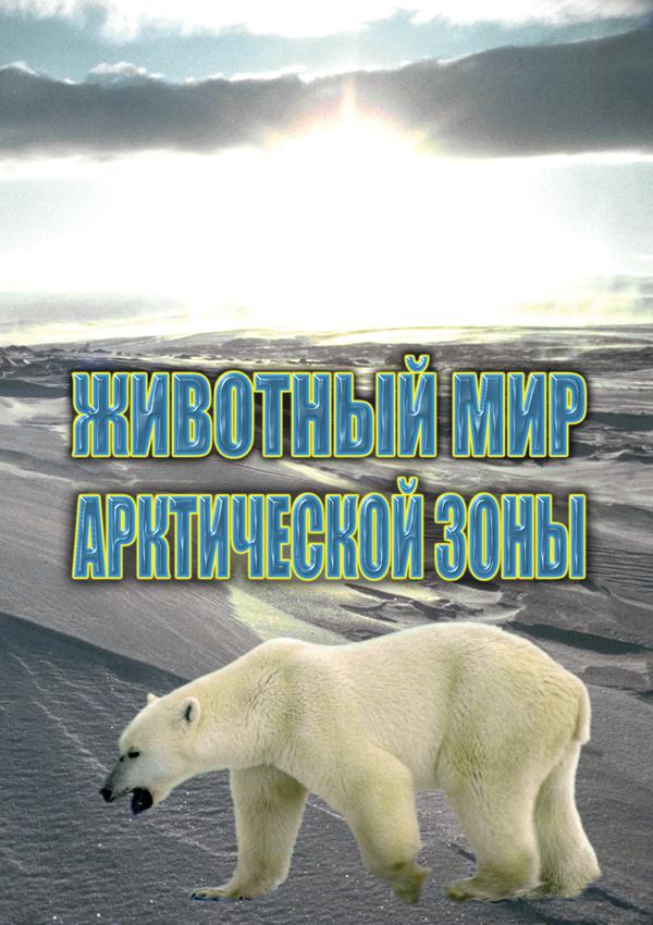 DVD. Животный мир Арктической зоны