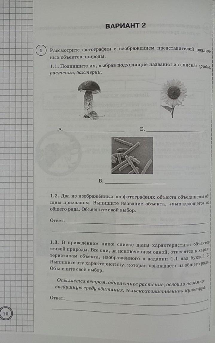 Ответы По Биологии По Фотографии