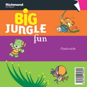 Big jungle fun 3. Big big jungle. Audio cd. джангл рэп. Big big jungle.