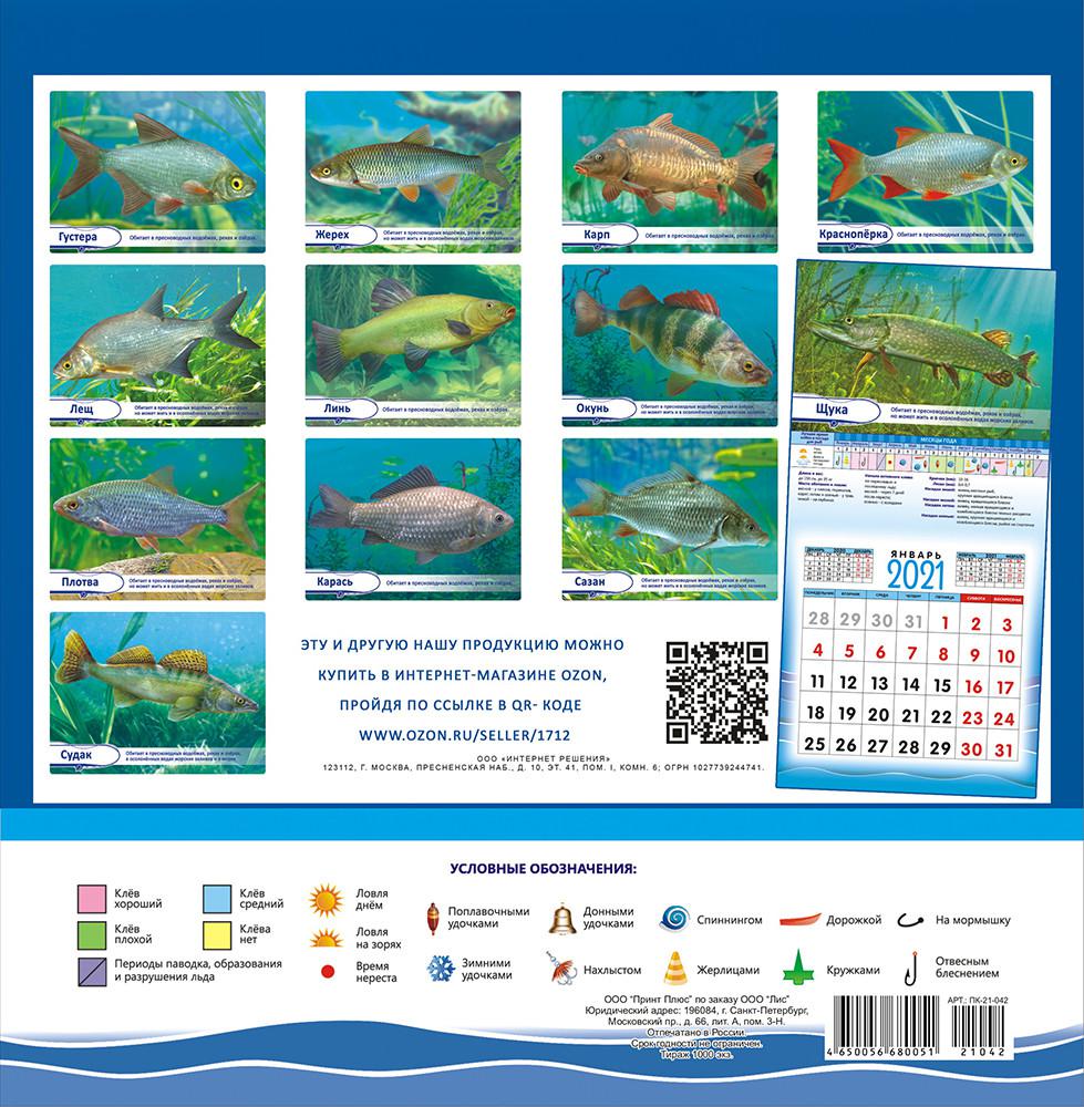 Календарь рыбака 2024 г. Рыболовный календарь. Календарь рыболова на 2021. Календарь рыболова на 2021 год. Календарь рыбака перекидной.