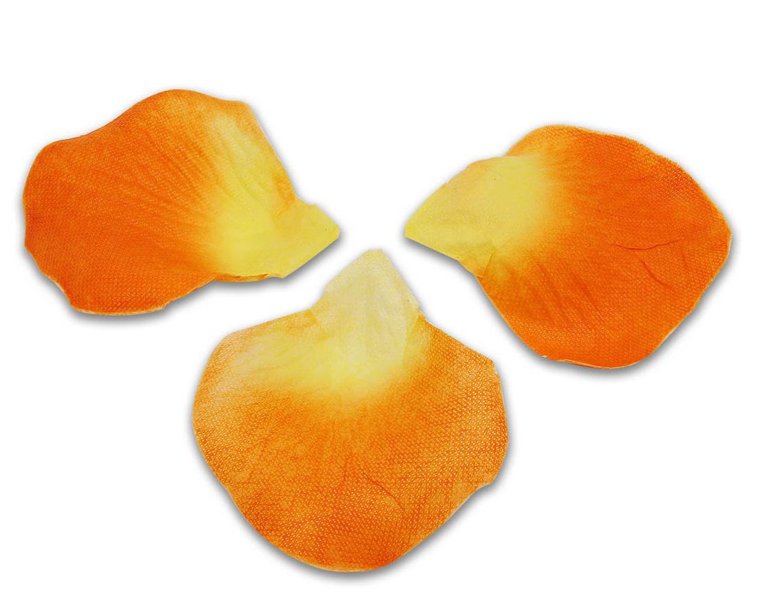 оранжевый лепесток. оранжевая мечта. оранжевый лепесток. цветы с оранжевыми лепестками. оранжевый лепесток.