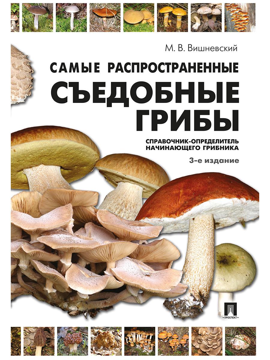 Самые распространенные съедобные грибы. Справочник-определитель начинающего грибника
