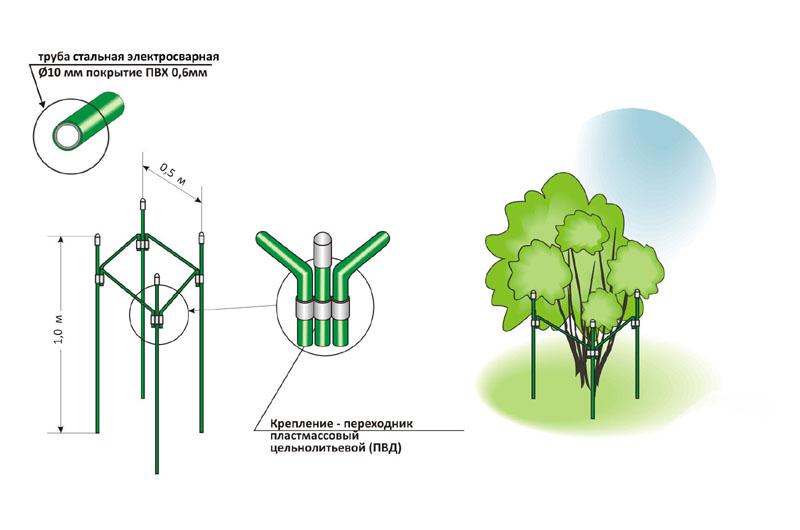 Подпорки для кустов из полипропиленовых труб своими руками фото и схемы