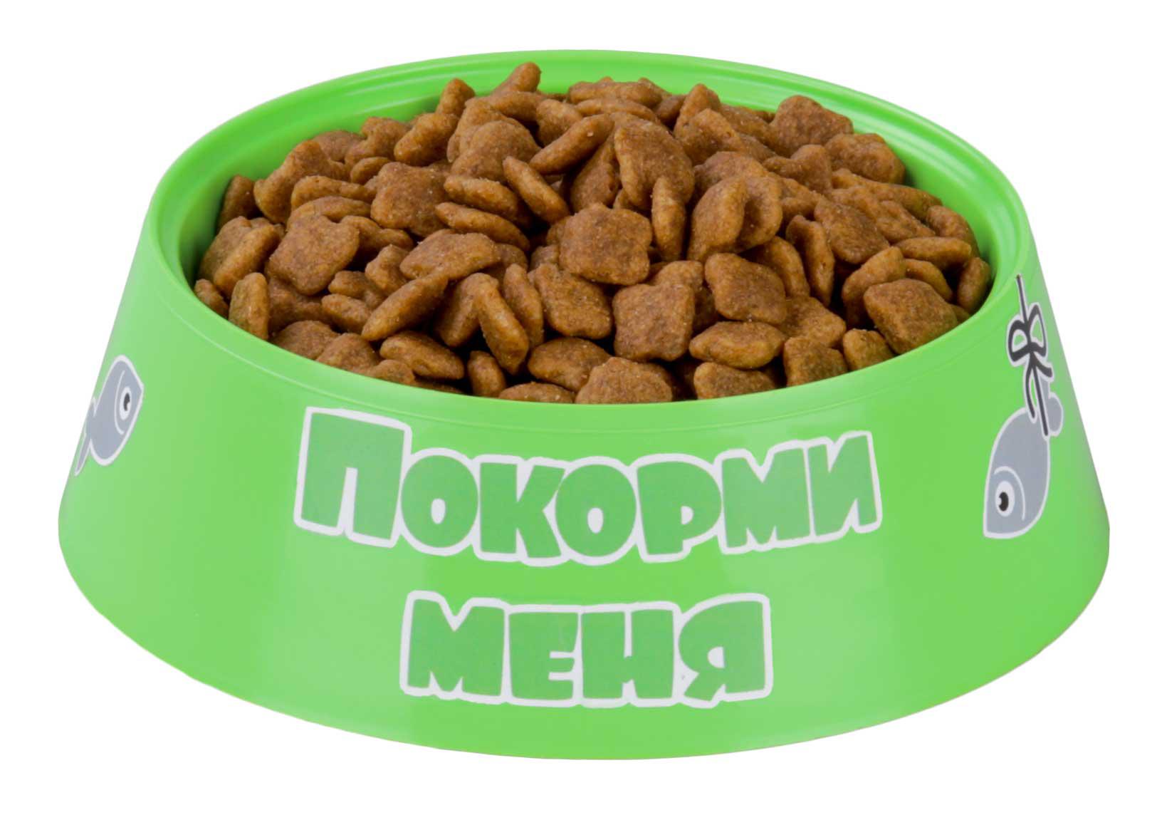 Корм для кошек в миске картинки