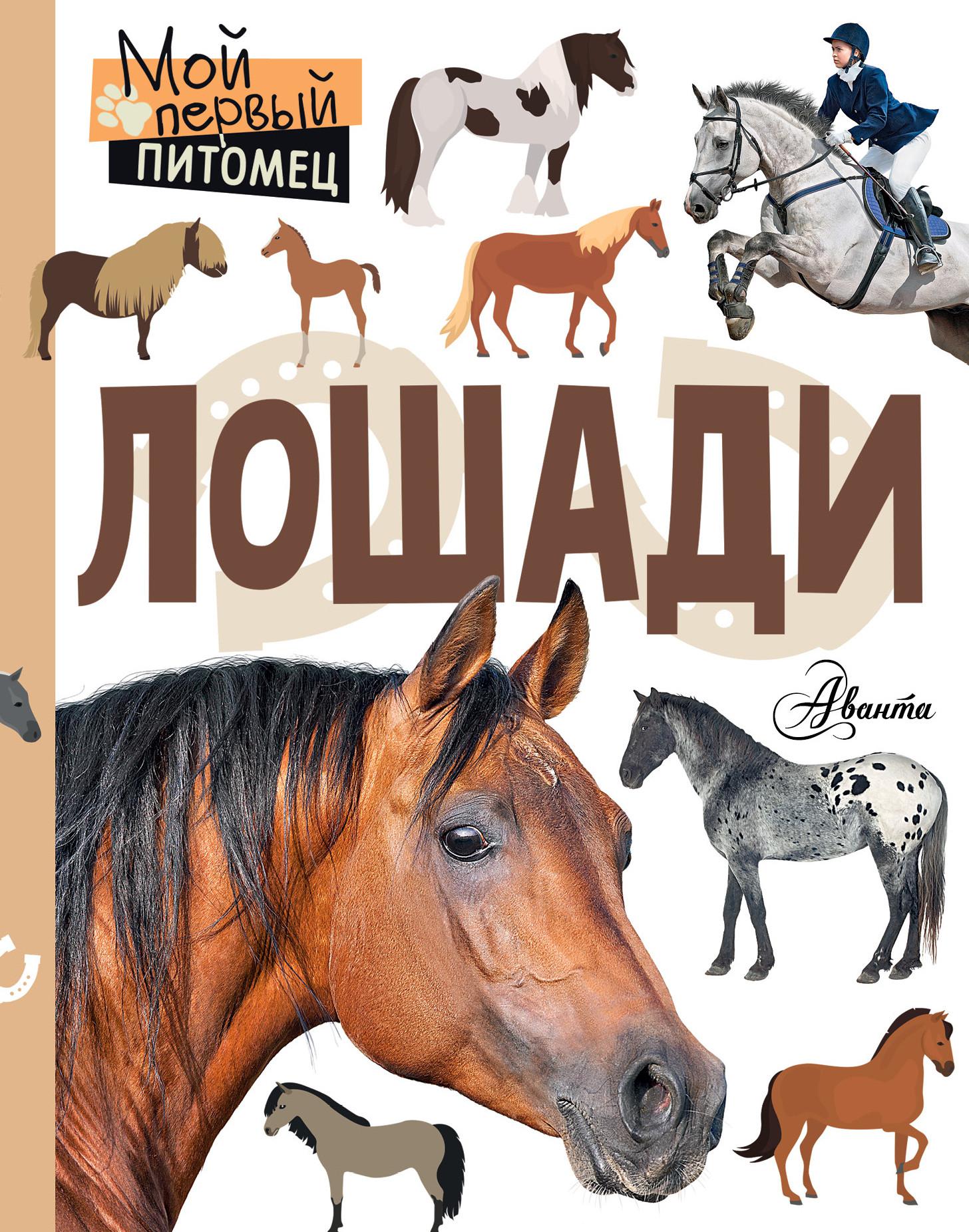 Книги верховая. Книги про лошадей. Книги о лошадях для детей. Книги про лошадей Художественные.