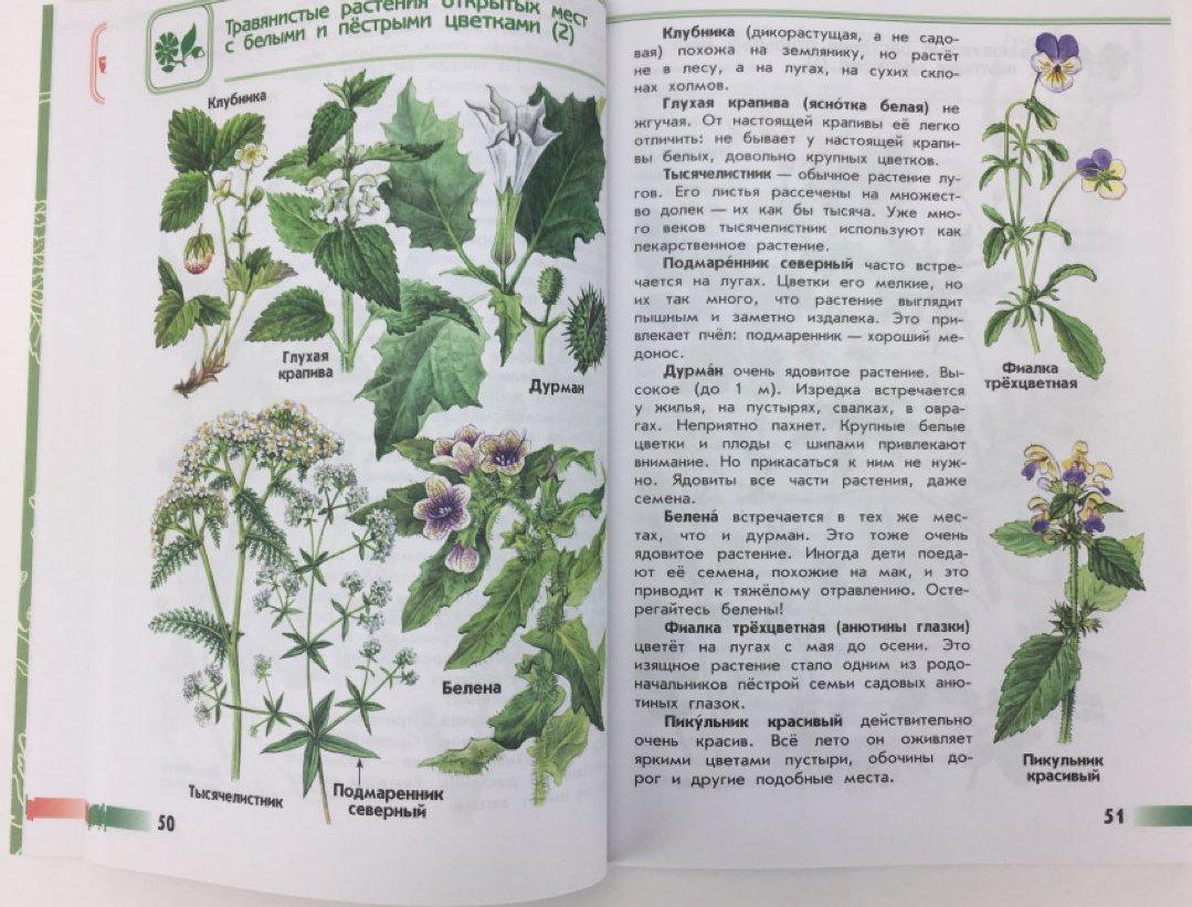 Проект мой атлас определитель по книге от земли до неба проект 4 класс