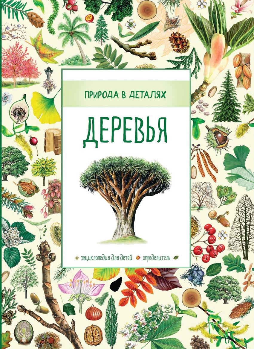 Дерево с книгами