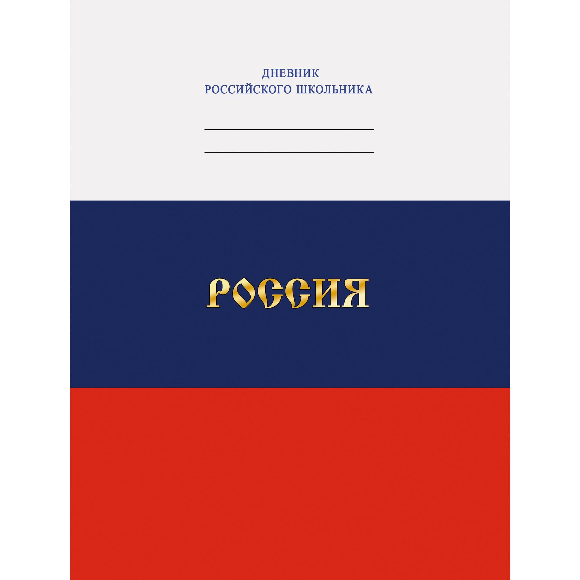 Дневники 5 20. Дневник школьный российского школьника 5-11 класс. Обложка для дневника. Обложка для дневника школьного. Школьный дневник дизайн обложки.