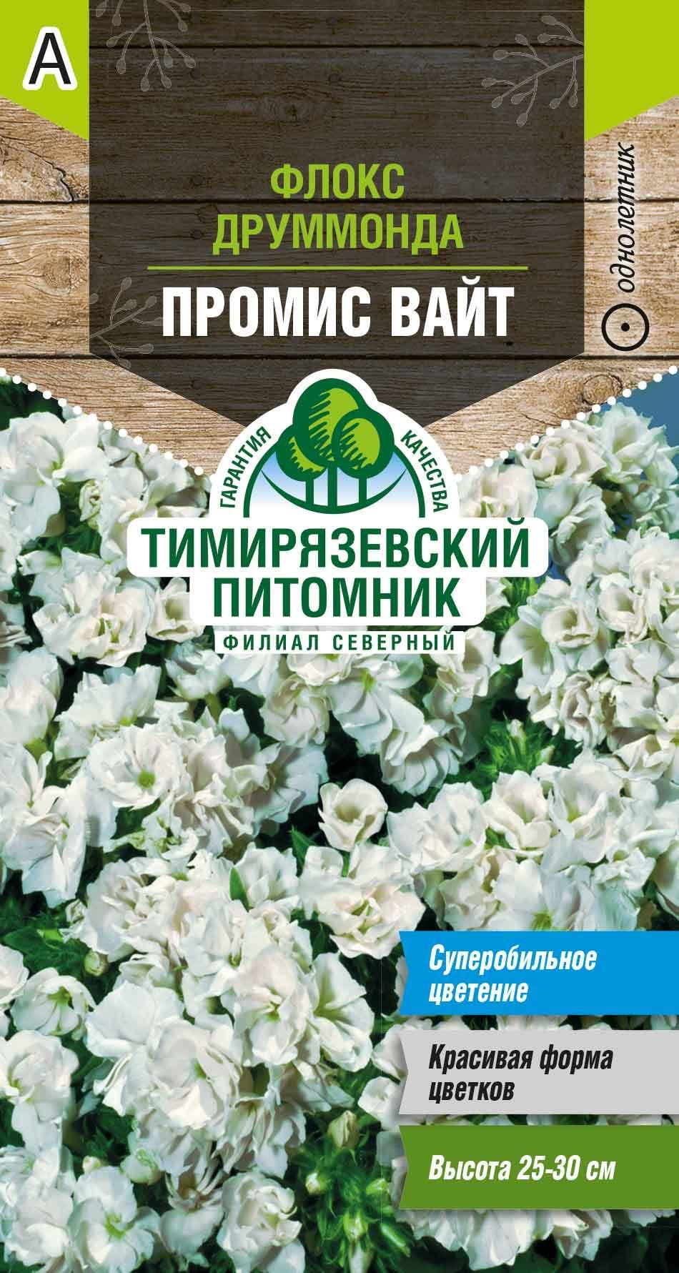 Питомник флоксов друммонда в Москве