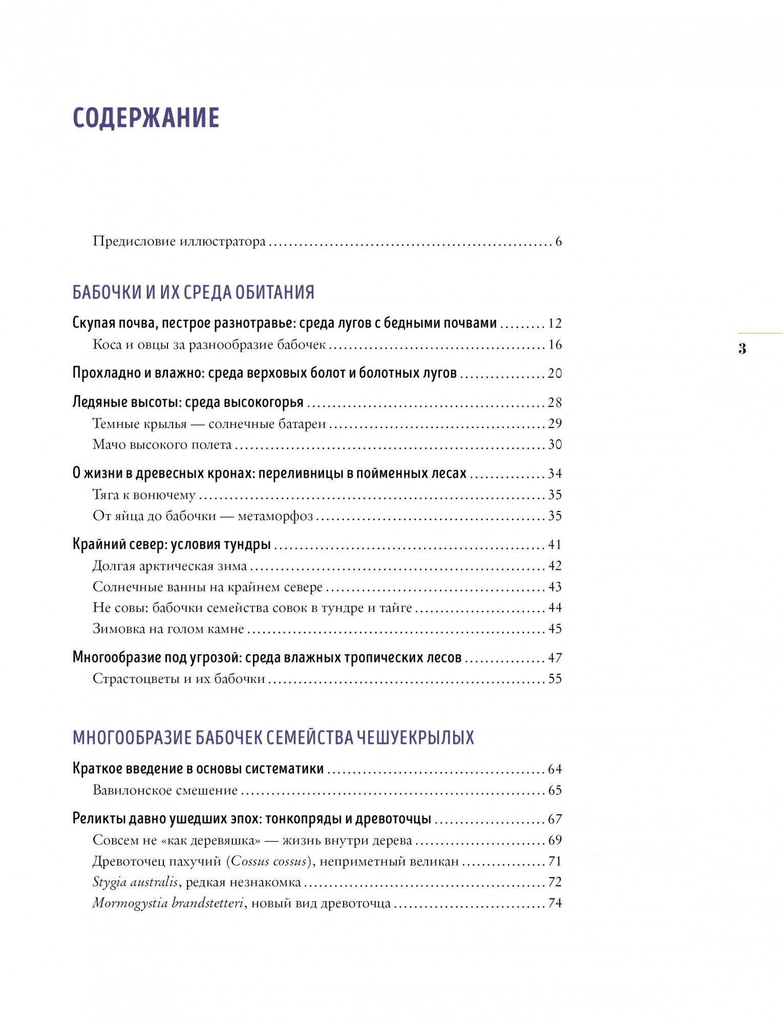 Бабочки. Основы систематики, среда обитания, жизненный цикл и магия  совершенства - Бук-сток