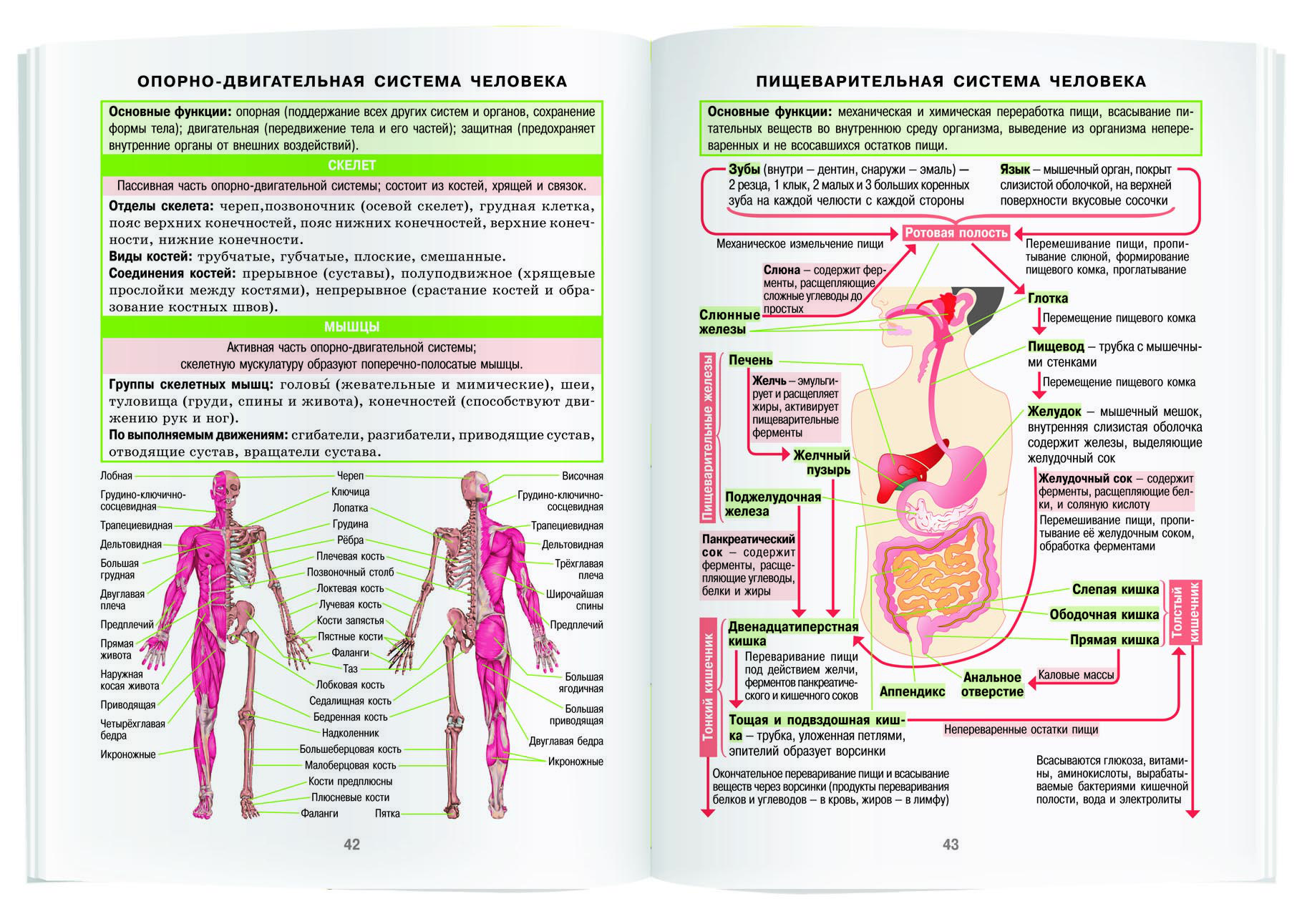 Справочник в таблицах. Биология. 7-11 класс - Бук-сток