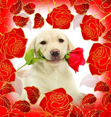 Мини-открытка (щенок с розой)