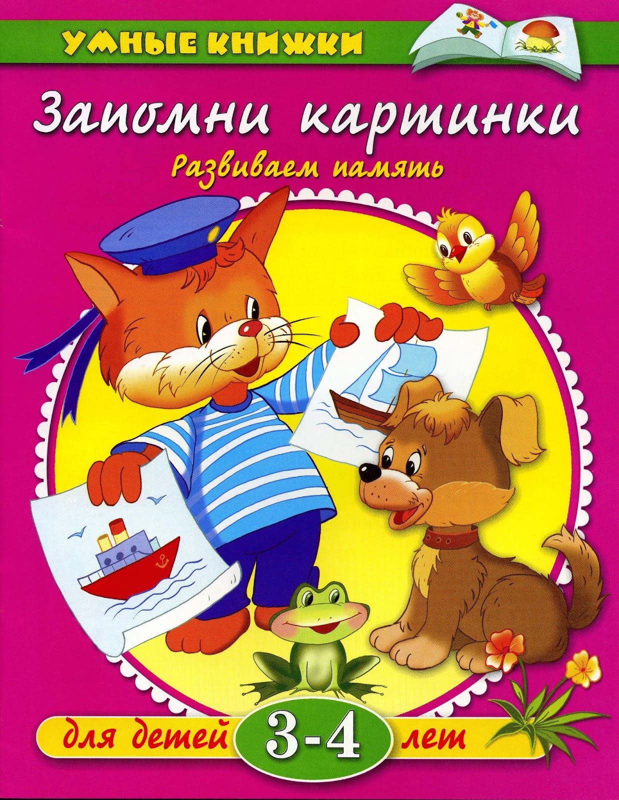 Книга запомни картинки