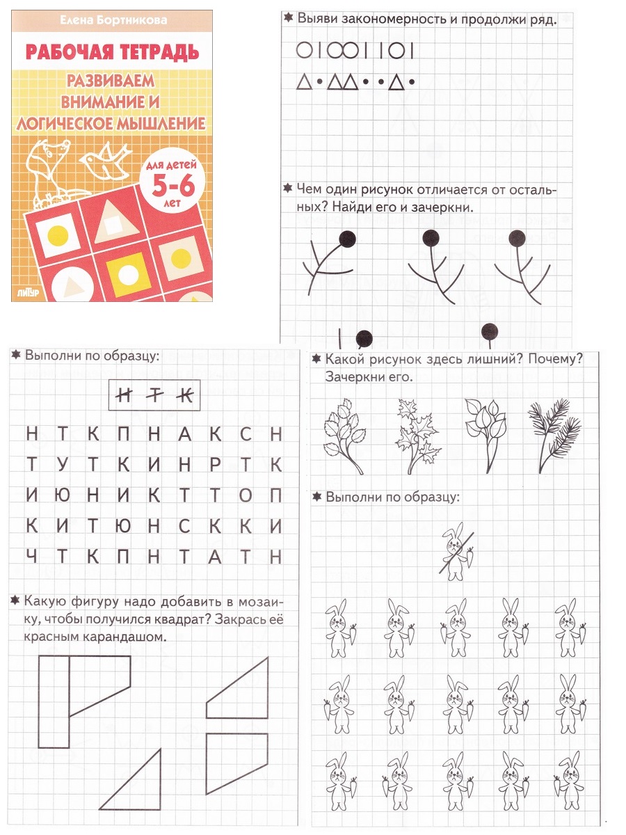 Рабочие тетради для детей 5-6 лет (комплект 5 шт) - Бук-сток