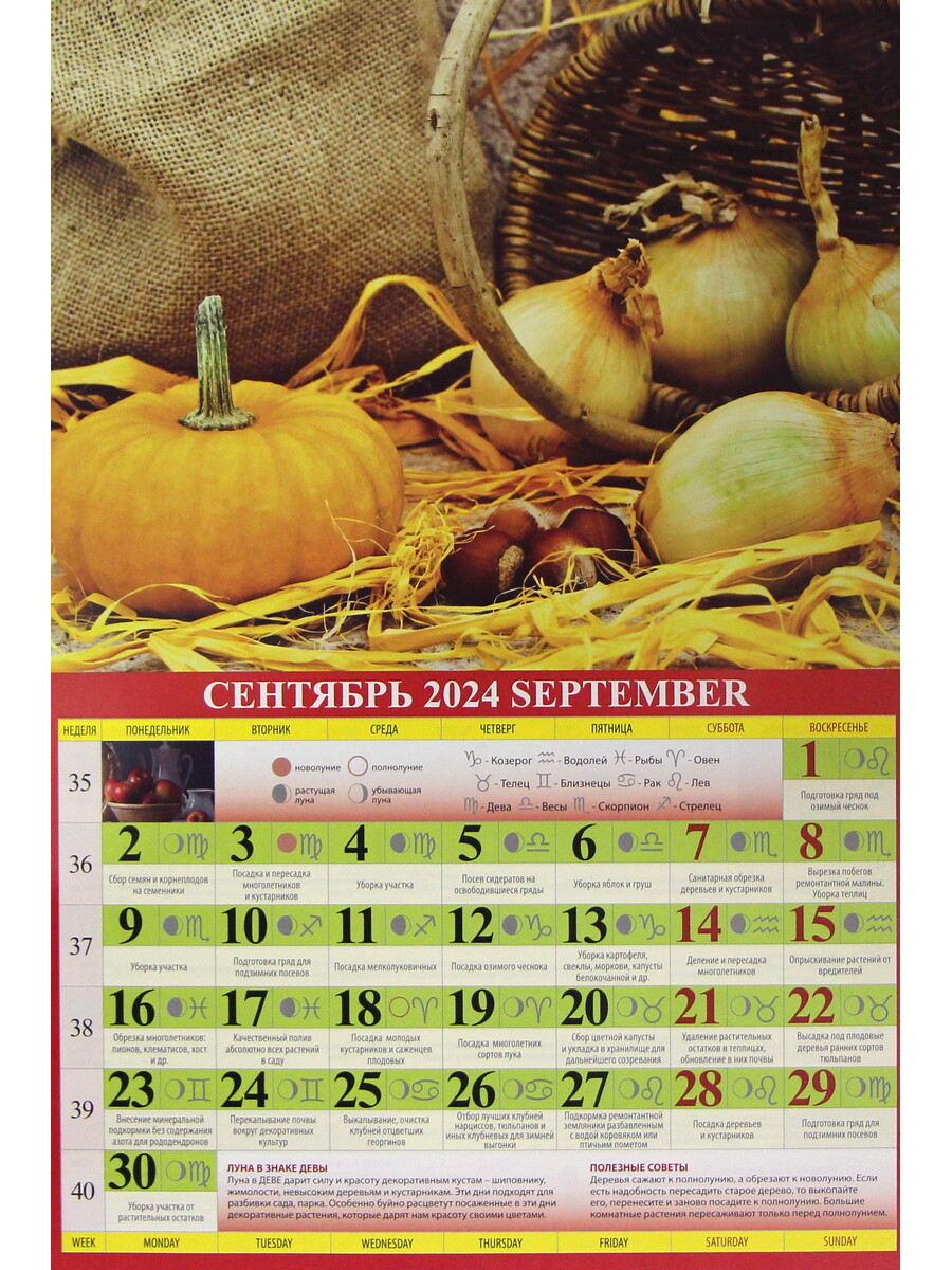 Лунный календарь 2024. Садово-огородный лунный календарь на 2024. Календарь садовых работ на год. Огородный календарь на 2024. Садовый календарь на май 2024г лунный