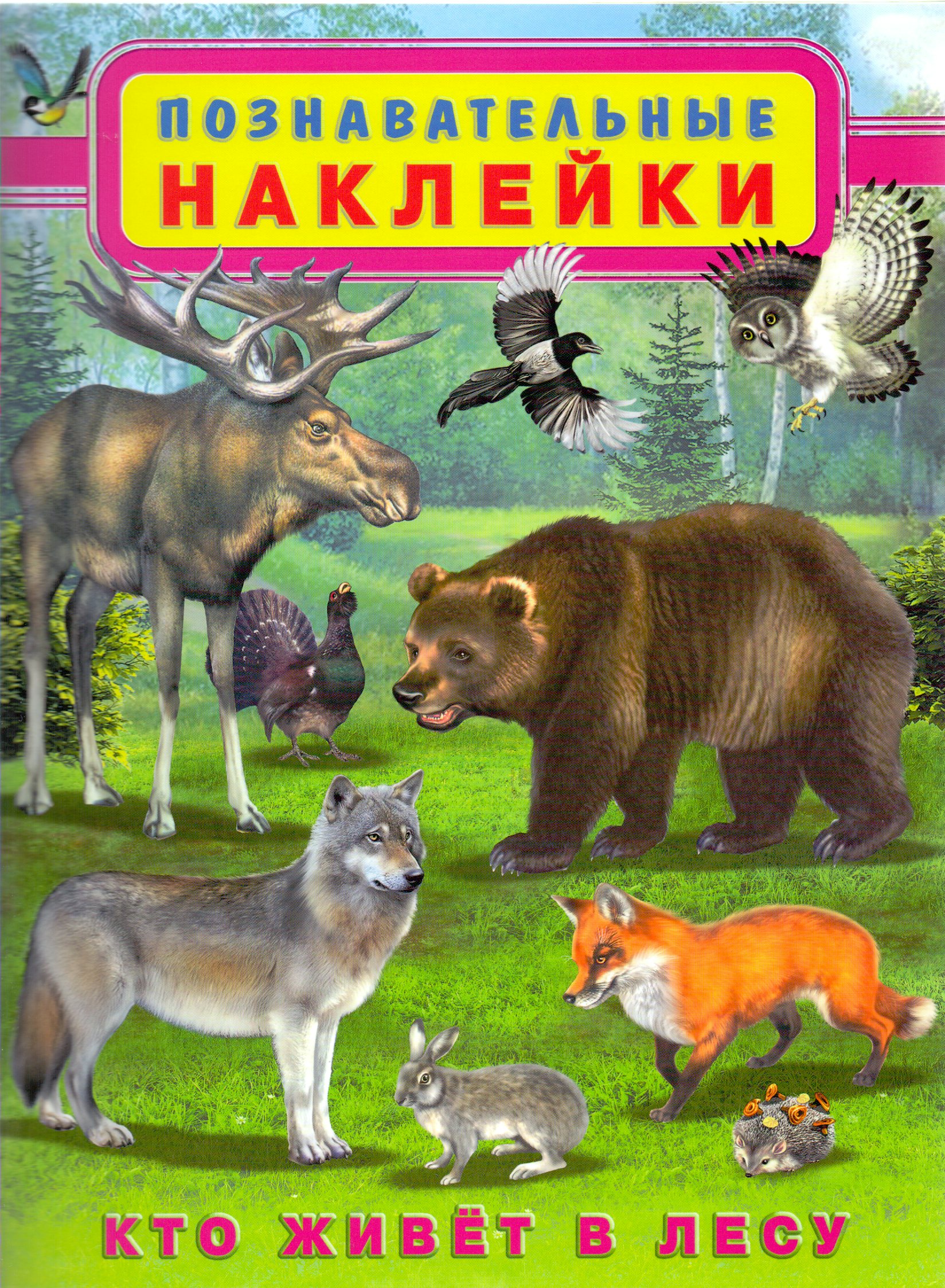 Книга лесные животные. Познавательные наклейки кто живет в лесу. Познавательные наклейки животные леса. Живём в лесу. Книжка с наклейками животные лес.