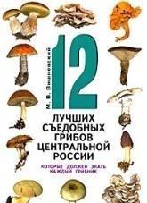 12 лучших съедобных грибов центральной России, которые должен знать каждый грибник
