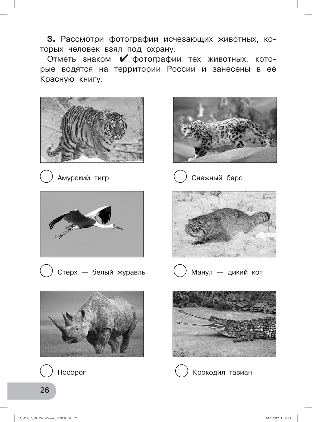 Окружающий мир. Изучаем природу родного края. 2 класс. Тетрадь для  внеурочной деятельности. ФГОС - Бук-сток