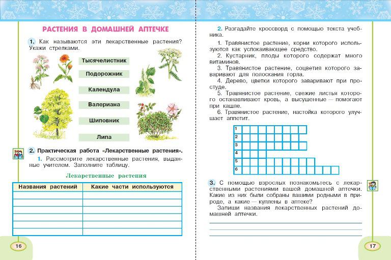 Окружающий мир 2 класс перспектива. Рассмотрите лекарственные растения выданные учителем. Рассмотри лекарственные растения выданные учителем заполни таблицу. Рассмотри лекарственные растения выданные учителем заполни. Зима в мире растений 2 класс перспектива рабочая тетрадь.