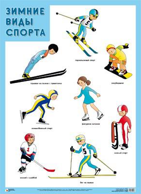 Плакат. Зимние виды спорта