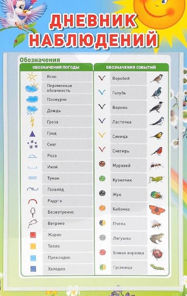 Обозначения для календаря природы в детском саду условные картинки