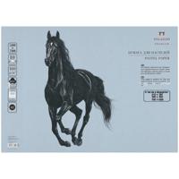 Бумага для пастелей "Палаццо", 500x700 мм, 10 листов, 160 г/м2, голубой
