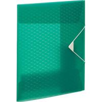 Папка на резинках Esselte "Colour'Ice", А4, 2 мм, зеленая