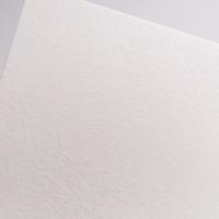 Бумага для сухих техник Малевичъ "GrafArt", 150 г/м2, 60x90 см, 100 листов