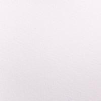 Бумага для акварели Малевичъ "White Swan", 200 г/м2, 50x70 см, 10 листов