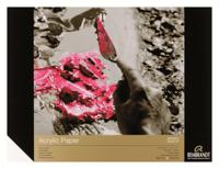 Альбом для акрила "Rembrandt", 30x40 см, 10 листов