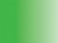 Чернила акварельные "Aquafine", водорастворимые, 29,5 мл, зеленый лист