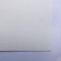 Бумага для пастелей "Palazzo. Snov" (белоснежный), 700х1000 мм, 10 листов