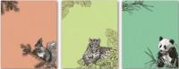 Обложки для тетрадей с рисунком "Животные", 3 штуки