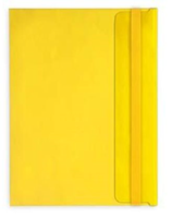 Папка-конверт пластиковая, B5, желтая