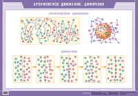 Наглядное пособие. Броуновское движение. Диффузия