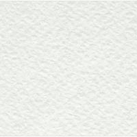 Комплект бумаги рисовальной акварельной А1 ЛенГознак, 610x860, 200 г/м2 (в комплекте 100 листов) (количество товаров в комплекте: 100)