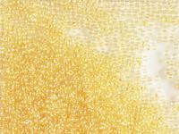 Бисер "Preciosa", 10/0, 50 г, цвет: 48013 желтый