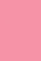 Лист "Fom Eva", 40х60 см, цвет: светло-розовый, арт. EVA-006/sa