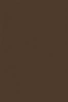 Лист "Fom Eva", 40х60 см, цвет: коричневый, арт. EVA-063/sa