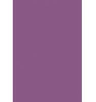 Лист "Fom Eva", 40х60 см, цвет: фиолетовый, арт. EVA-027/sa