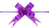 Комплект бантов-бабочек, цвет: фиолетовый золотая полоса, 1,7x34 см, 10 штук, арт. AR502