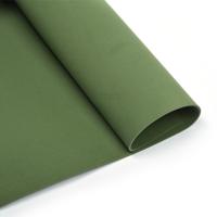 Фоамиран в листах, 60x70 см, 2 мм, цвет: темно-зеленый, 10 листов, арт. 282/2 (количество товаров в комплекте: 10)