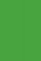 Лист "Fom Eva", 42x62 см, цвет: зеленый, арт. EVA-014