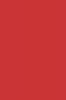 Лист "Fom Eva", 42x62 см, цвет: красный, арт. EVA-002