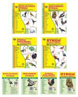 Комплект картинок "Супер. Птицы: перелетные, зимующие, домашние и декоративные" (количество томов: 8)