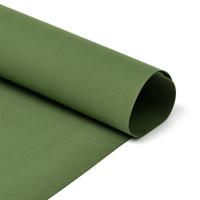 Фоамиран в листах, 60x70 см, 1 мм, цвет: 038/1 темно-темно-зеленый (182), 10 штук (количество товаров в комплекте: 10)