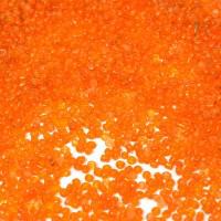 Бисер круглый "Ideal", 10/0, 50 грамм, цвет: 9 оранжевый, арт. T