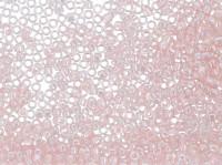 Бисер "TOHO" TREASURE №1, 11/0, 500 г, цвет: 0290 бледно-розовый